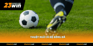 Thuật Ngữ Cá Độ Bóng Đá - Từ Điển Hội Viên Cần Nắm Vững