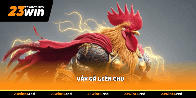 Vảy Gà Liên Chu - Tìm Hiểu Chi Tiết Cùng Chuyên Gia